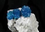 Vibrant Blue Cavansite Crystals on Stilbite - India #33693-2
